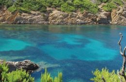 Visuel du podcast : Tour dans le sud de la France — Sweet Caroline #75